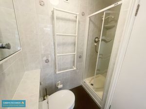 Shower Room- click for photo gallery